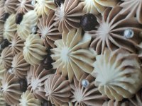 IMG20260307235110 (1).jpg