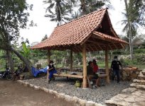 IMG_20251102_010308.jpg IMG_20251102_010308.jpg